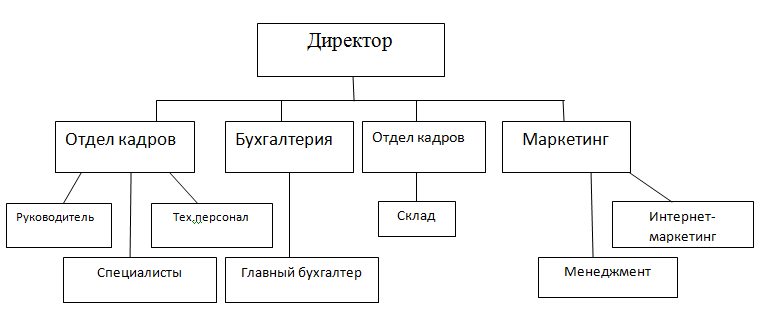 Структура организации пример