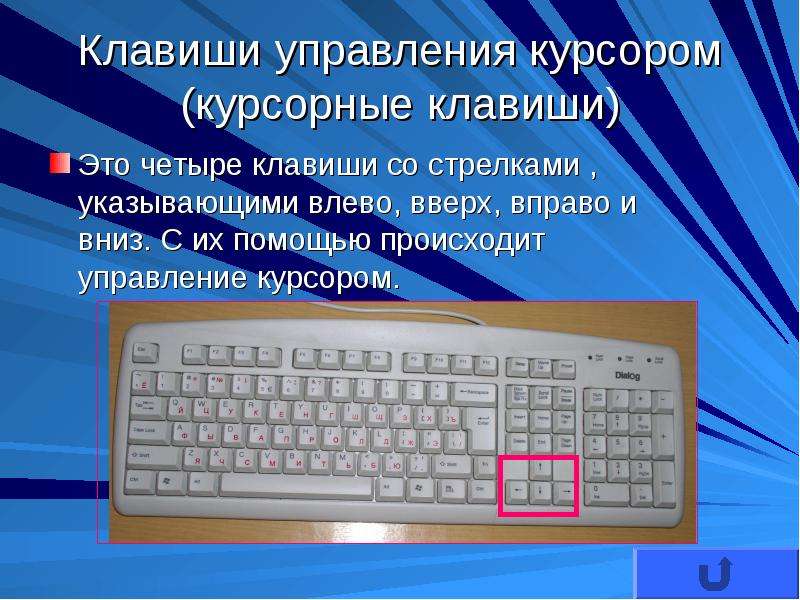 Управление курсором. Алфавитно цифровые клавиши на клавиатуре. Алфавитно цифровая клавиатура. Группа алфавитно-цифровых клавиш. Клавиши управления курсором на клавиатуре.