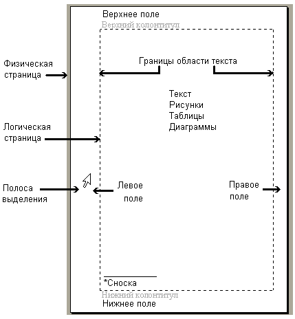 Стандарт полей. Размеры полей документа. Стандартные поля для документов. Размер полей для документации. Поля документов в делопроизводстве.